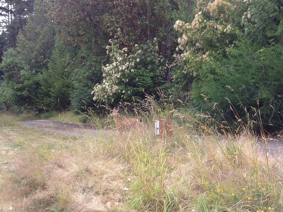 7021 NW Newberry Hill Rd, Silverdale, WA 98383 Zillow