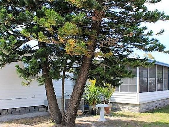 4th image of 249 Jasper St Lot 157