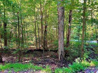 10 Walnut Ridge Ln, Ellijay, GA 30540