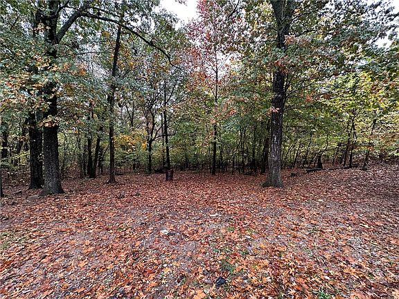 4th image of 10982 Tony Mountain Rd