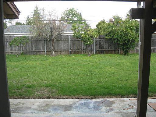 5th image of 3917 Wildrose Way