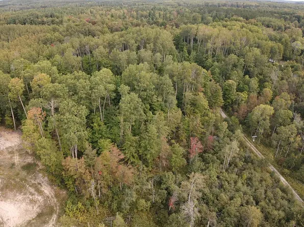 7716 Fulmer Rd, Wolverine, MI 49799
