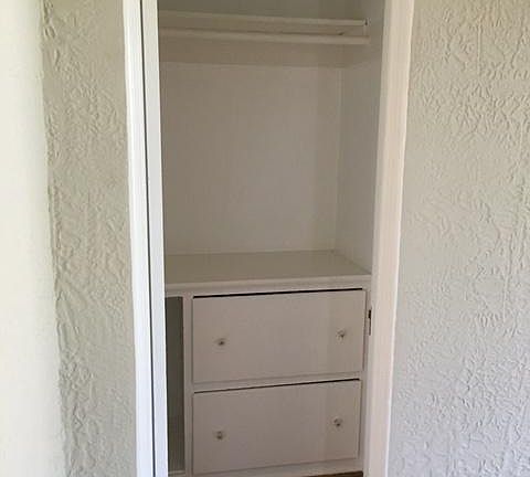 Big closet in the living room with built-ins.