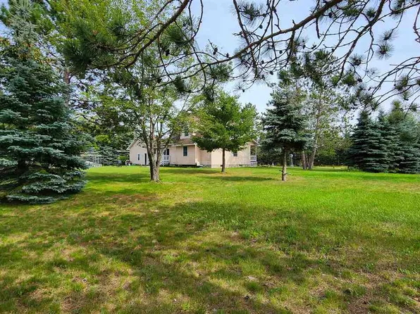 6015 Bogardus St, Pellston, MI 49769