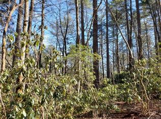 100 Wood Thrush Way, Brevard, NC 28712