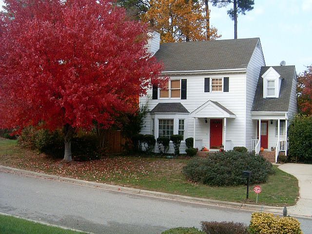 Fall 2007