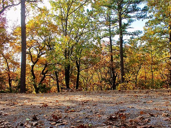 2nd image of 3990 County Road 207