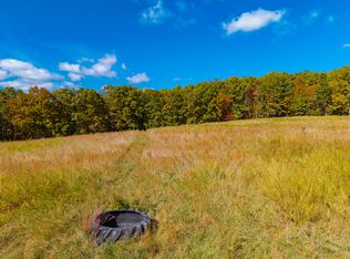 000-C Tract 228 #3, Norwood, MO 65717