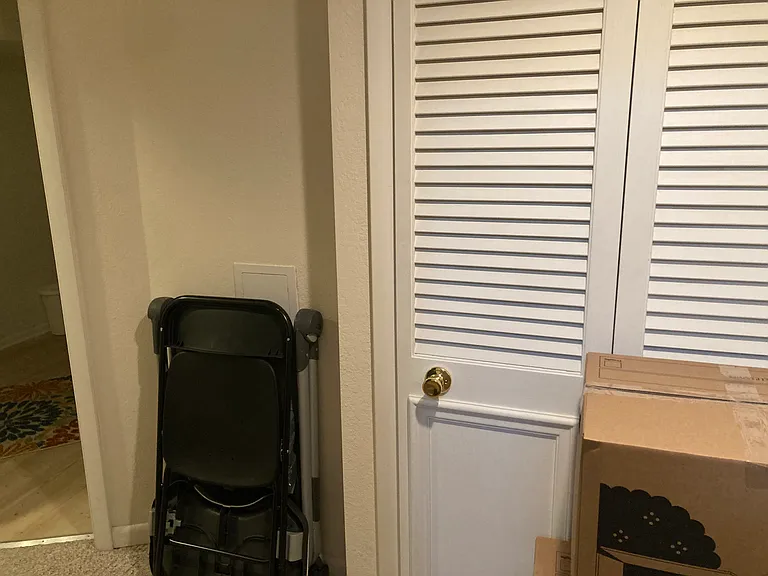 Downstairs closet