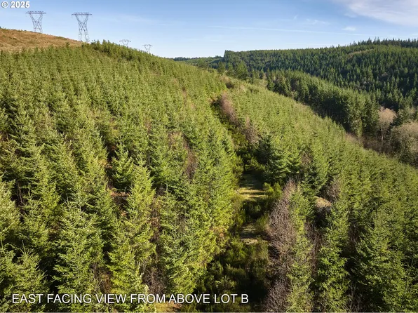 0 Kellett Rd #B, Washougal, WA 98671