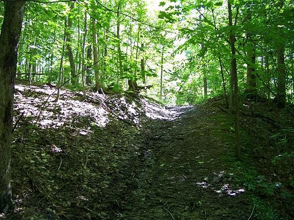Wooded trails to explore!