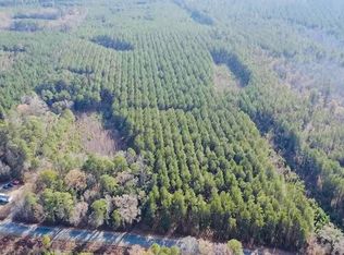 9214 Kingstree Hwy, Greeleyville, SC 29056