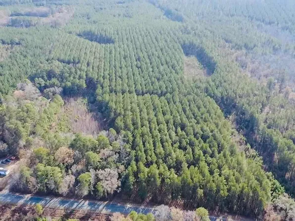 9214 Kingstree Hwy, Greeleyville, SC 29056