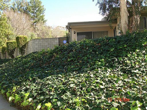 2nd image of 4426 Canoga Dr