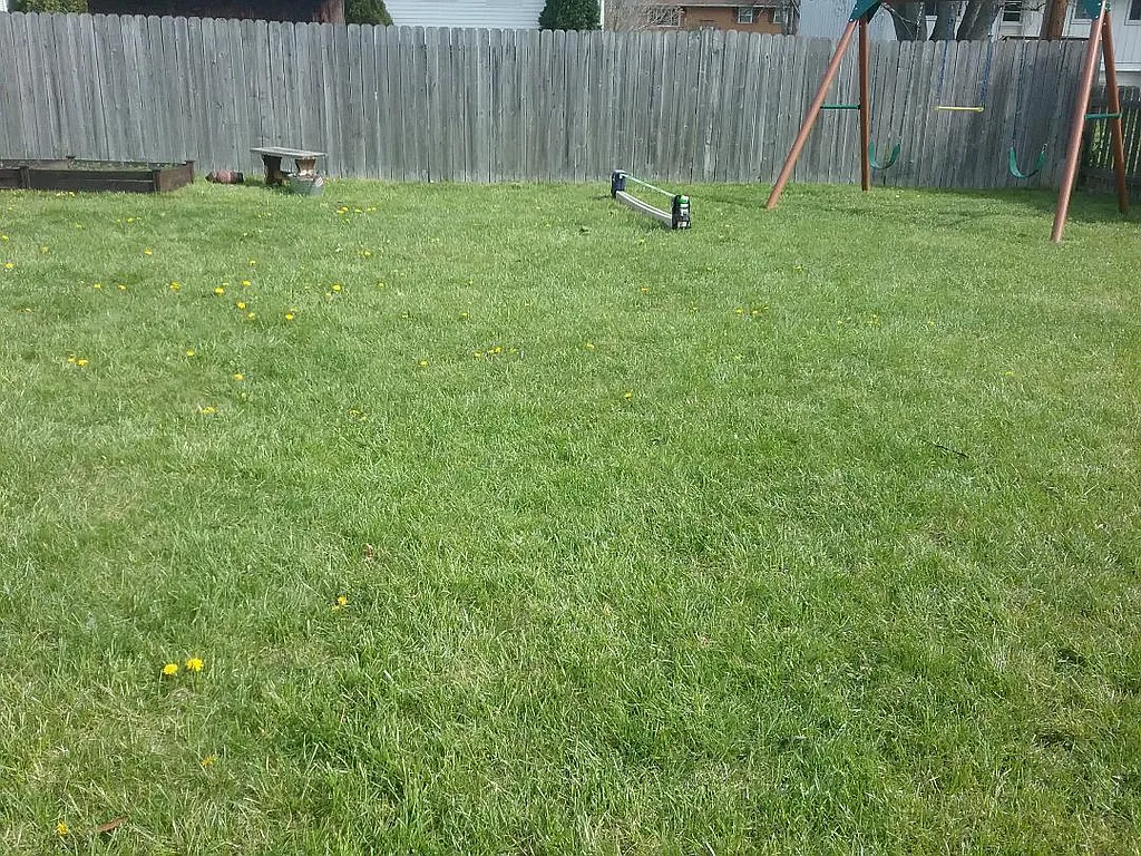 Property photo 5