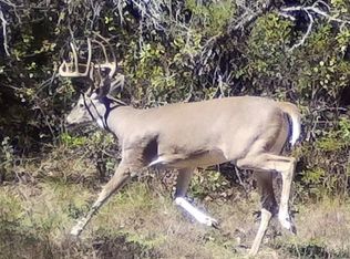 5090 Fm 585, Bangs, TX 76823