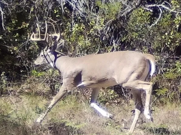5090 Fm 585, Bangs, TX 76823