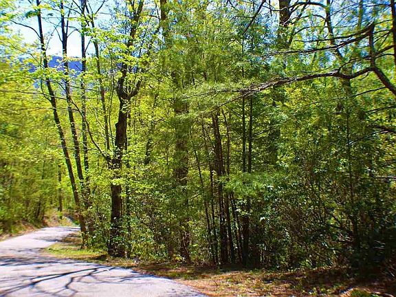 3rd image of 2425 Mathis Hollow Rd Lot 24&25