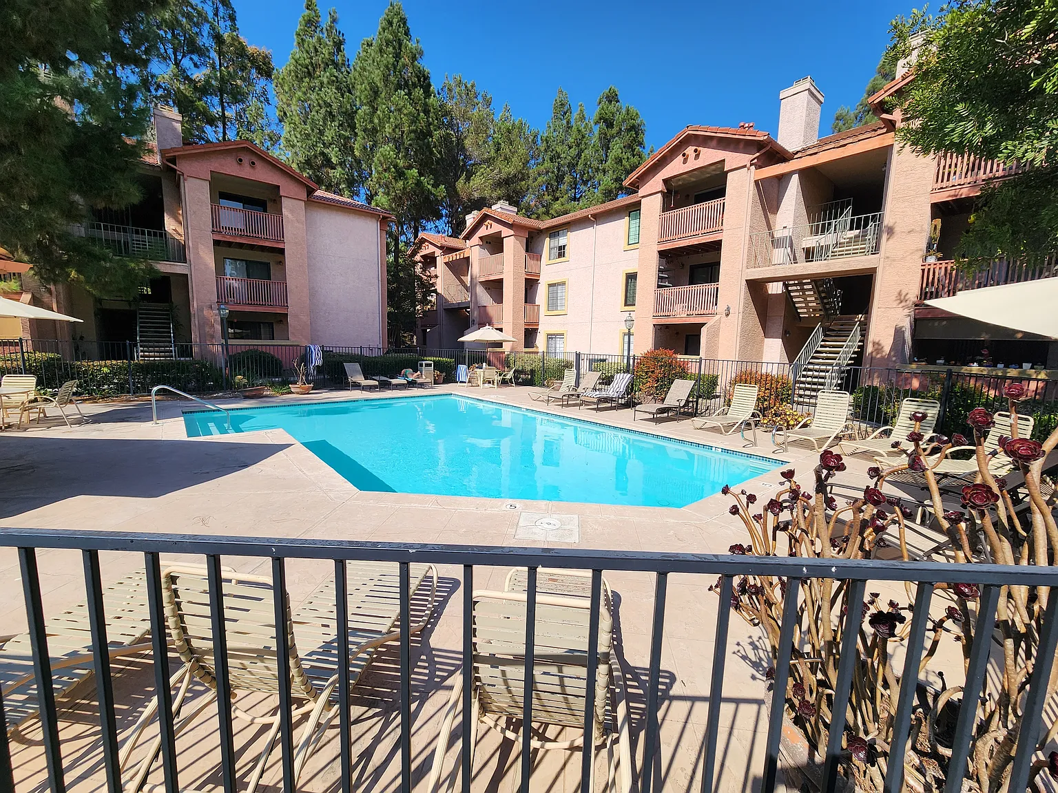 1 bed, 704 sqft, $2,275 — Photo 2