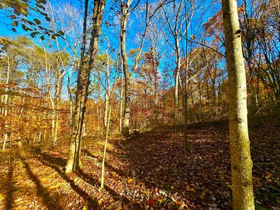 0 Denver Rd, Waverly, OH, 45690