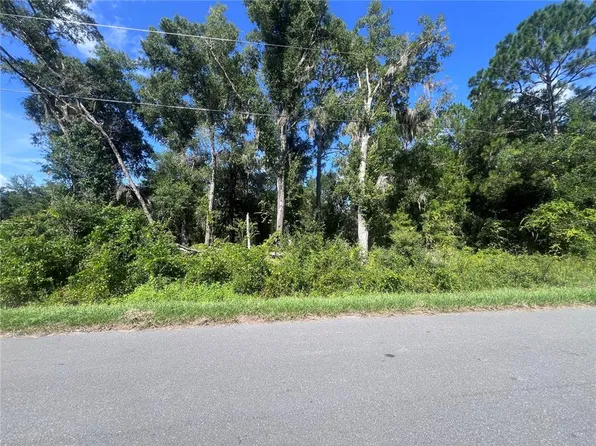 TBD LOCUST COURSE RADIAL LOT 20 LOT 20, OCALA, FL 34472