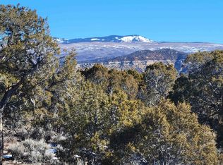 Q 25 Rd, Cedaredge, CO 81413