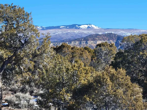 Q 25 Rd, Cedaredge, CO 81413