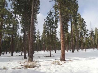 Highway 200 Badger Rd #AND, Lincoln, MT 59639