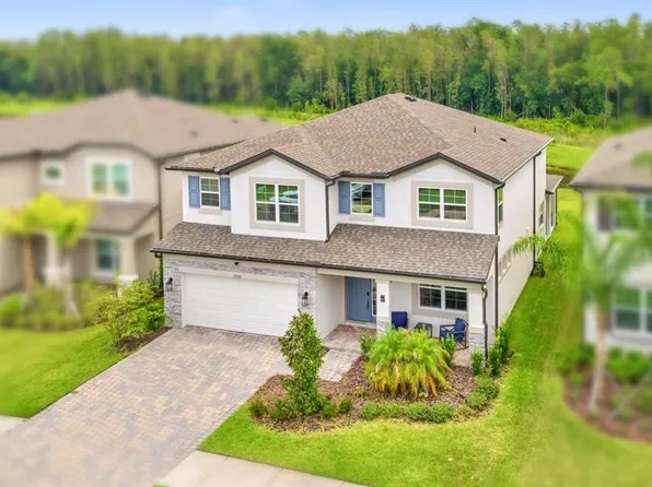 10726 NEW MORNING DRIVE, TAMPA, FL 33647