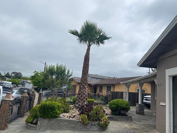 4th image of 115 Cortland Cir #1
