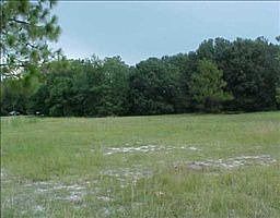 2nd image of 2502 Rustic Oaks Dr