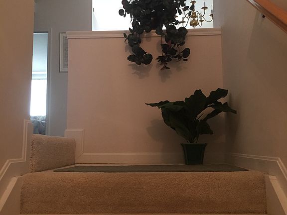 Entrance Stairwell/Landing