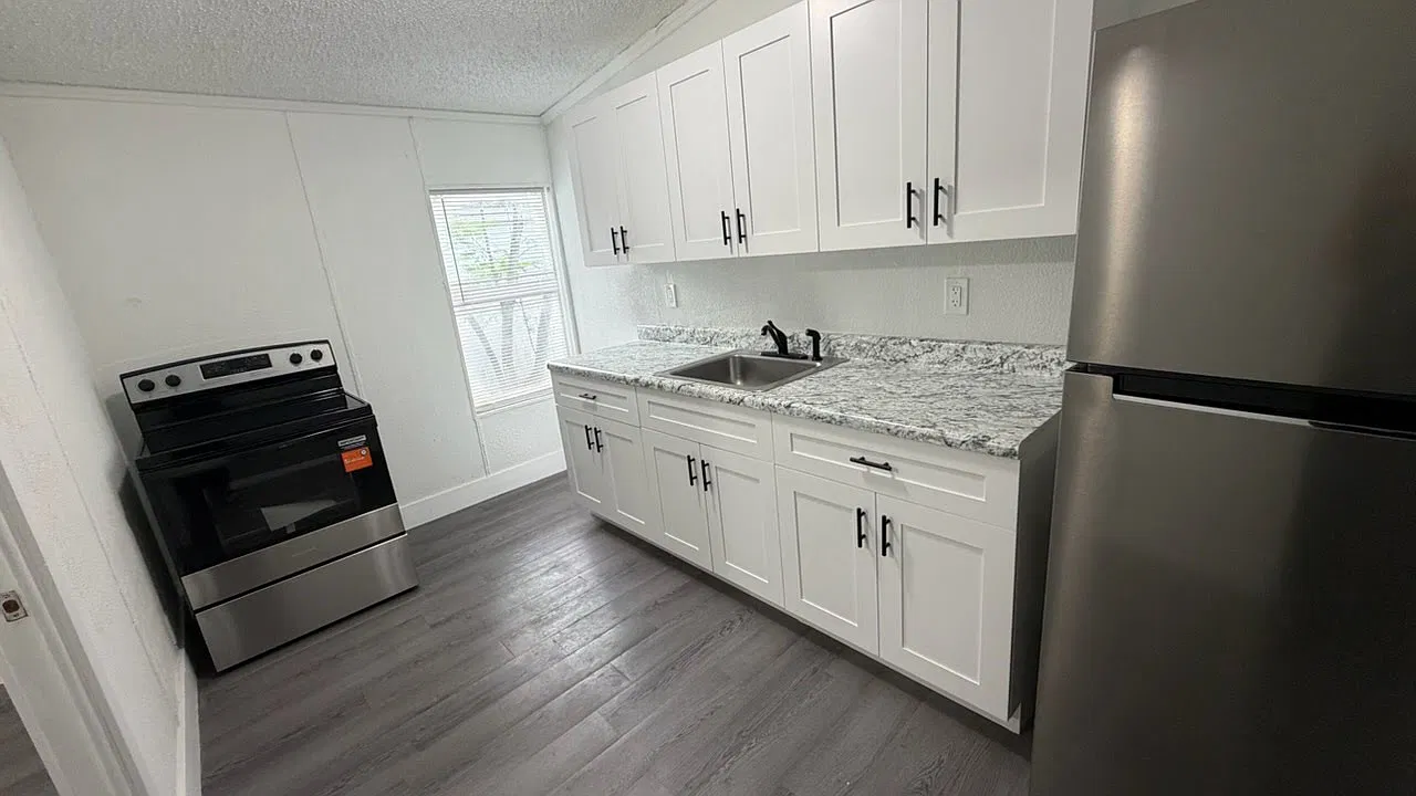 1 bed, 550 sqft, $1,250 — Photo 4