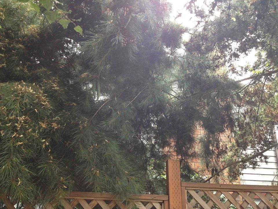 2nd image of 1000 NE 105th St