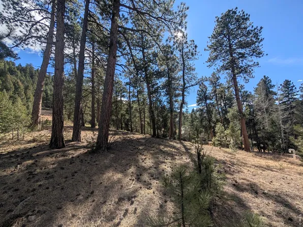 7000 - 7022 Blue Creek Rd, Evergreen, CO 80439