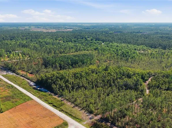NE 125th Ave, Fort Mc Coy, FL 32134