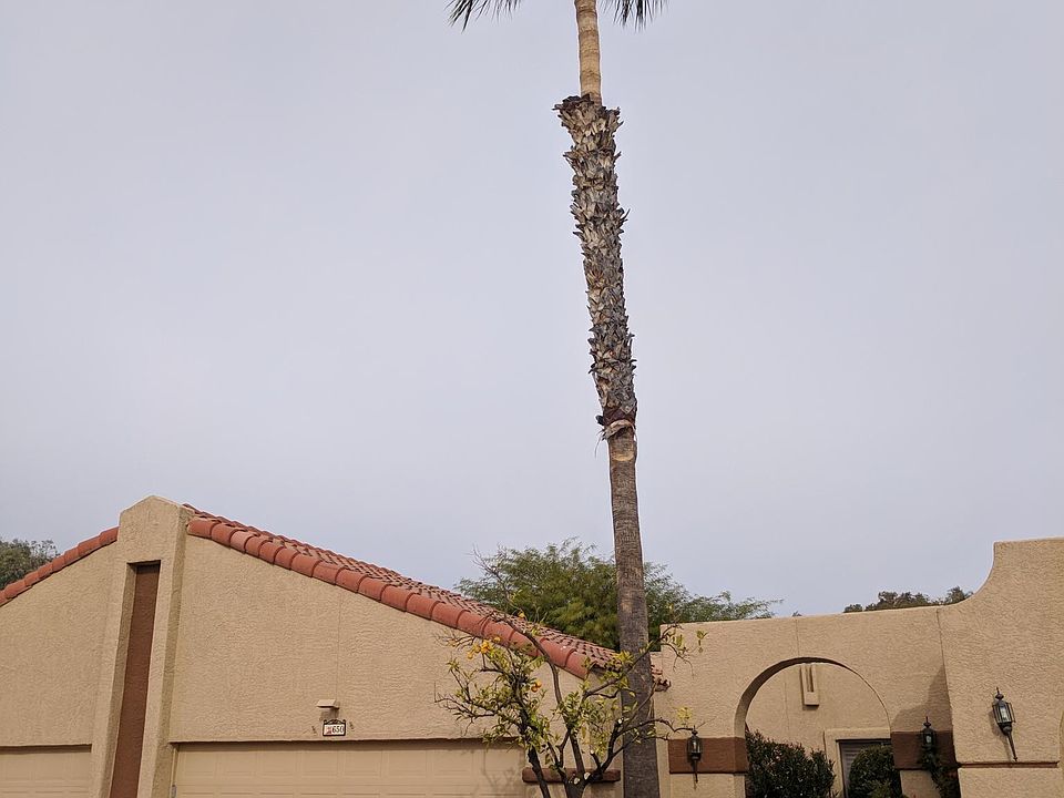 1st image of 650 W Rushwood Dr