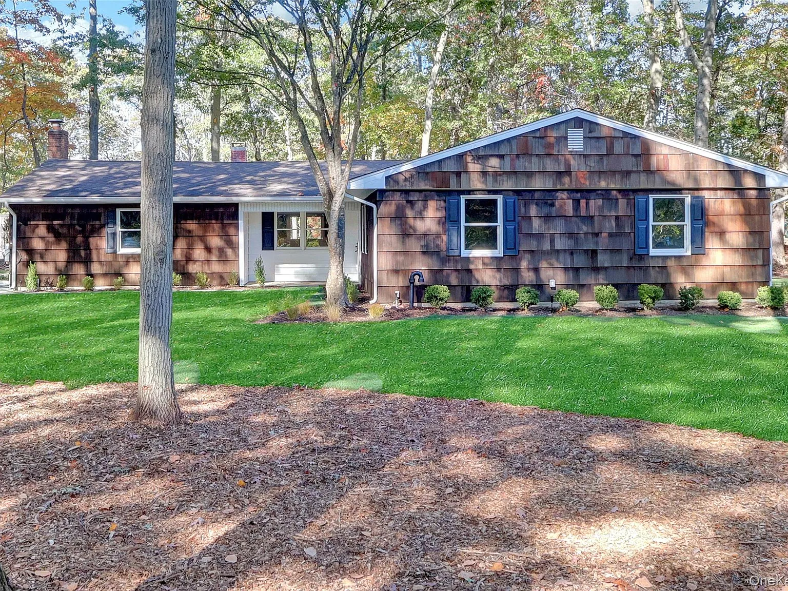 3 bed, 2.0 bath, 1769 sqft, $5,000 — Photo 2