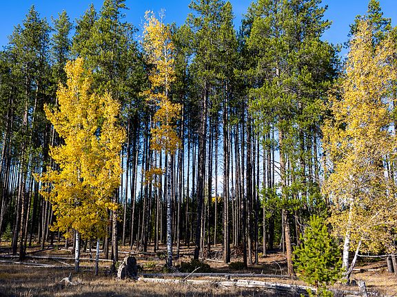 108th image of this home