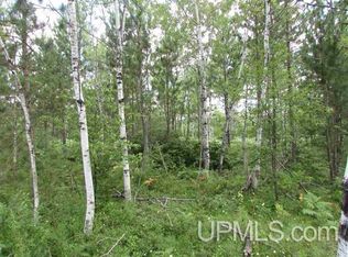 450 Paint River Rd LOT 6, Crystal Falls, MI 49920