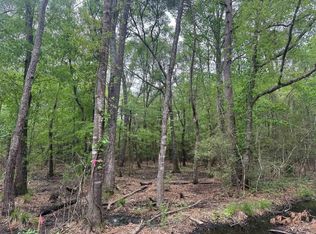 15800 Largent Dr, Plantersville, TX 77363