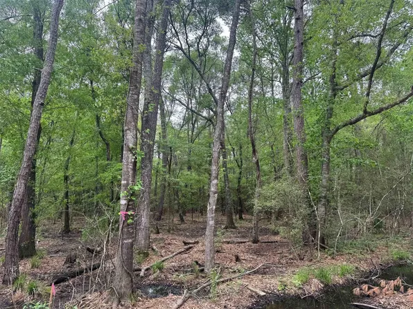 15800 Largent Dr, Plantersville, TX 77363