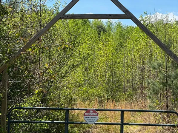 Coon Hollow Rd, Sunbright, TN 37872