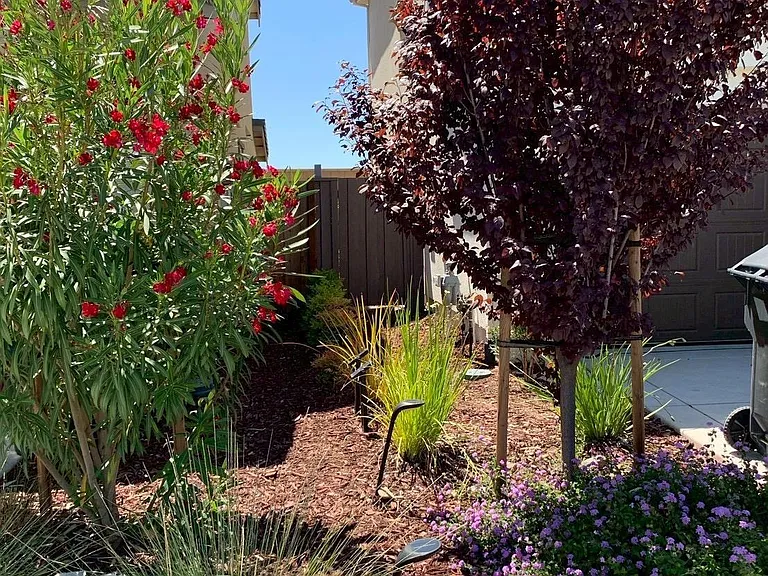 7149 Diamond Ave — Photo 2