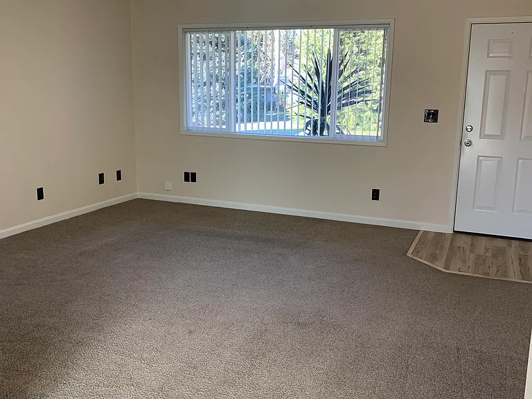 824 Pine St #3 — Photo 5