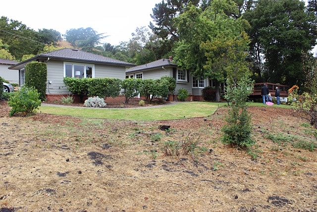 front yard and house