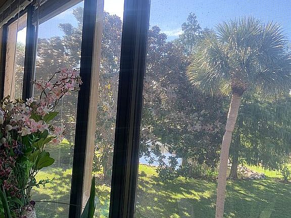 View from sunroom. 