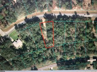 00 Fisher Way Loop, Ocklawaha, FL 32179