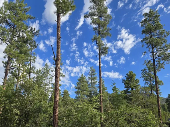 0 W Forest Trl, Pine, AZ 85544