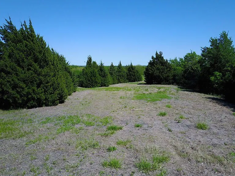 4196 FM 75 — Photo 8